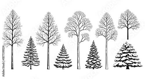 Diverse trees in winter landscape Vector