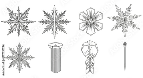 Intricate snowflake patterns display Vector
