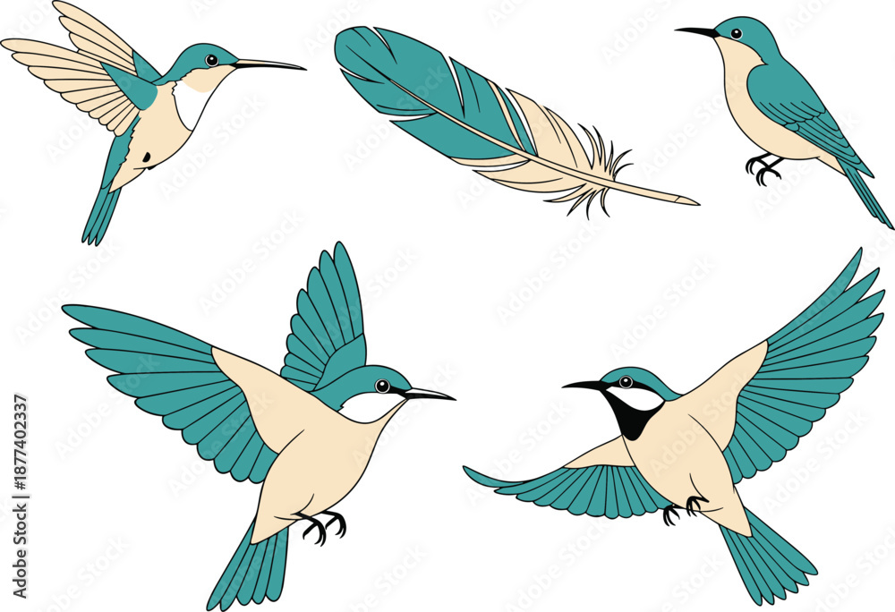 Fototapeta premium Hummingbird vector illustration set featuring flying birds, feather elements, flat cartoon style, nature wildlife design isolated on white background art