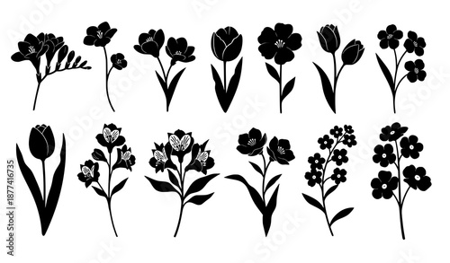 Black flower silhouette vector set with freesia tulip alstroemeria and forget-me-not illustrations
