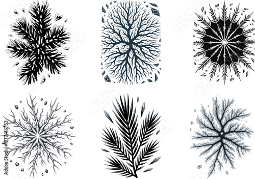 Intricate Black and White Leaf Patterns