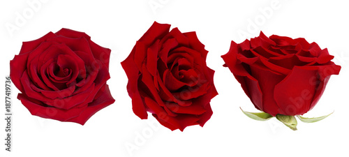 The photograph shows three fully bloomed red roses against a white background...