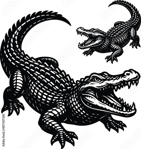 Detailed vintage engraving style alligator vector set, powerful dangerous reptile roaring with menacing open jaws, aggressive wildlife mascot design element.