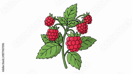 A bright red raspberry branch with green leaves, depicted in a simple cartoon style