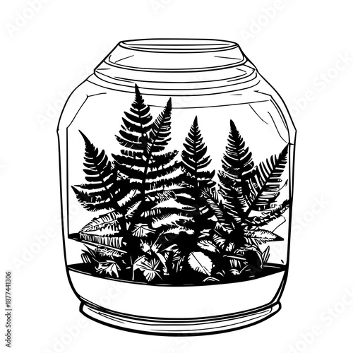 Intricate geometric terrarium illustration in black line art featuring lush ferns—perfect for modern botanical design projects