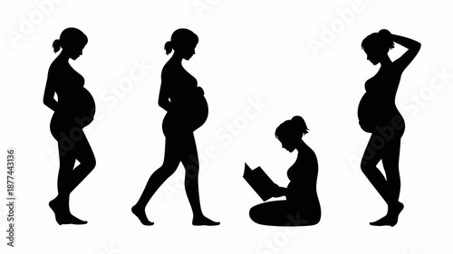 a visual representation of pregnancy stages showcases four silhouettes of a woman s body progressing through gestation and culminating in motherhood high quality professional detailed modern