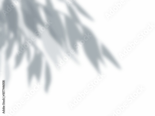 木の枝と葉の影が壁に映る背景素材