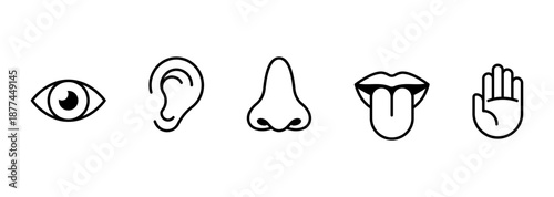 Icon of the five human senses. Eyes, nose, ears, hands, mouth with tongue. Isolated on white background.