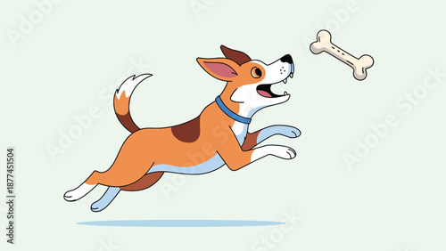 Energetic brown and white dog jumping high into the air to catch a tasty bone against a plain light green background in a playful scene.