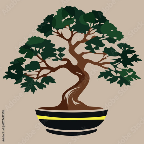 Traditional small bonsai tree, in a pot, vector drawing on a light background. Japanese plants in a bowl.