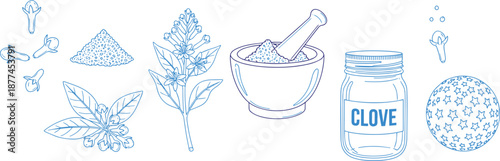 Collection of clove spice and mortar pestle icons