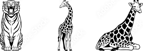 Black and white line art vector illustrations of a tiger and giraffes