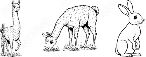 Black and white line art drawing of llama and wild bunny animals.