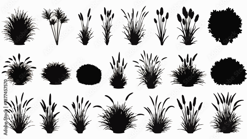 Fototapeta premium Black silhouettes of various grasses and plants on white background
