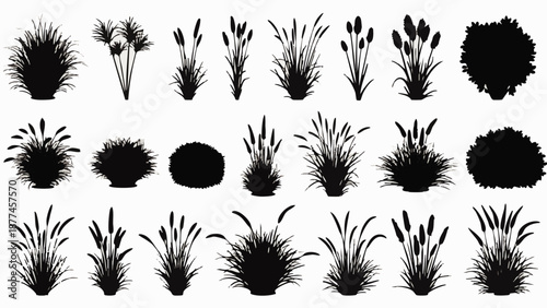 Black silhouettes of various grasses and plants on white background