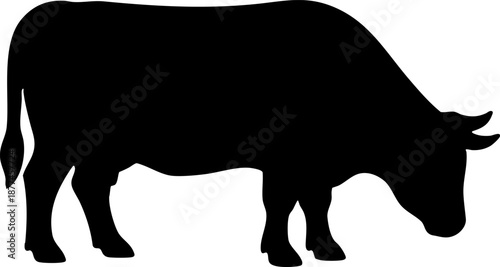 Cow or bull black silhouette vector illustration icon.