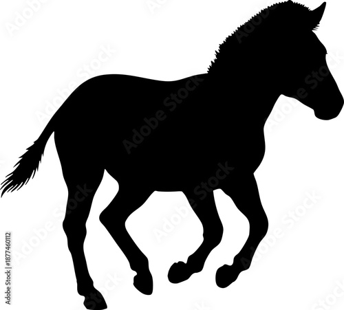 Running Foal Silhouette Vector Isolated on White Background