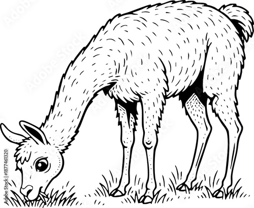 Simple Llama or Alpaca Grazing Hand Drawn Line Art