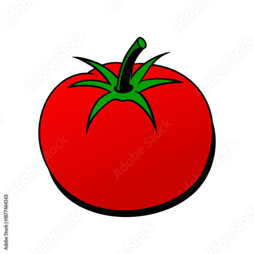 Fresh Red Tomato Vector Illustration Isolated on White Background. Ripe Red Tomato Icon, Fresh Organic Vegetable Illustration.