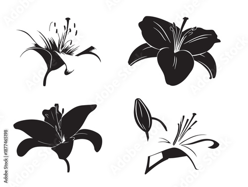 Stunning Lily Flower Silhouettes With Graceful Natural Beauty  