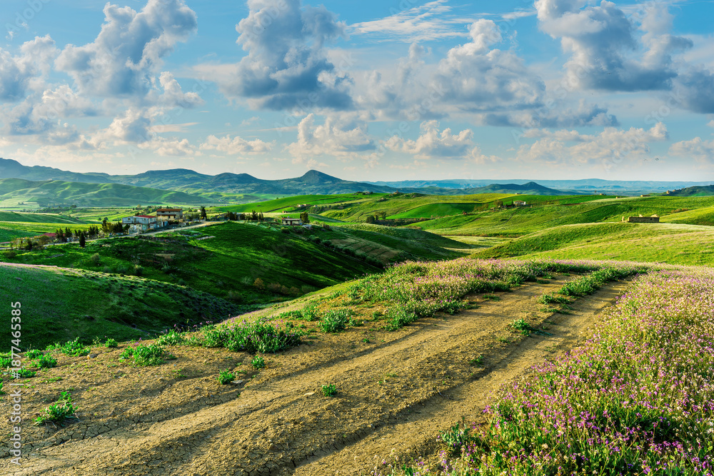 Obraz premium beautiful spring colorful flowering meadow with bright green hills of farm grassland and rustic path road leading far away to countyside valley and vivid sky of landscape