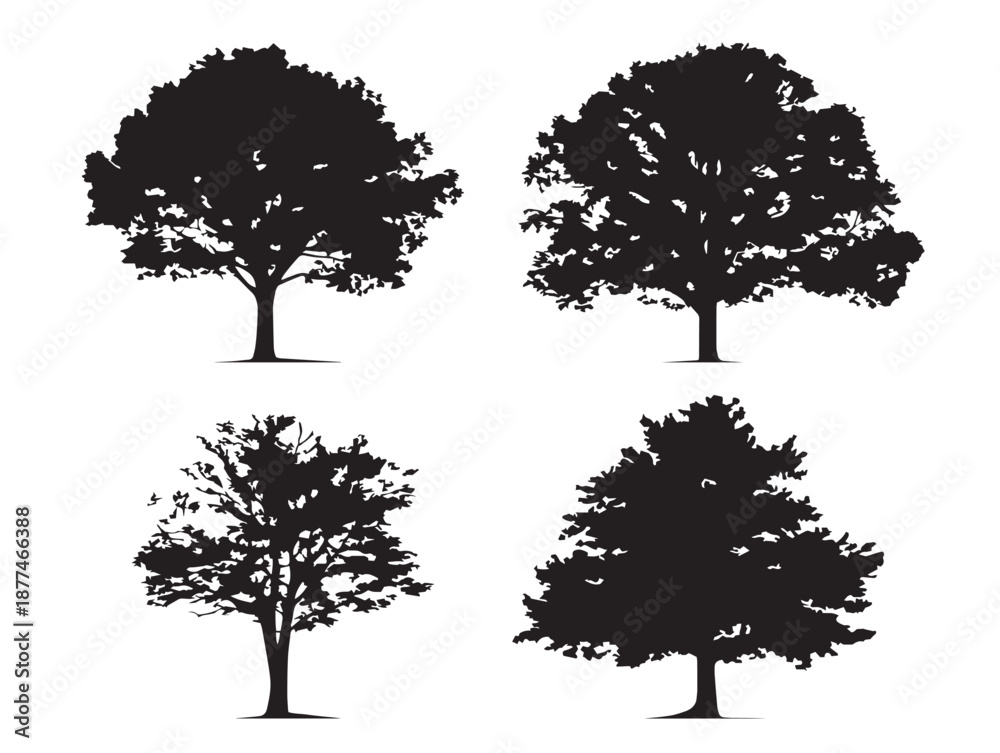 Fototapeta premium Elegant Maple Tree Icon Set With Majestic Forest Beauty