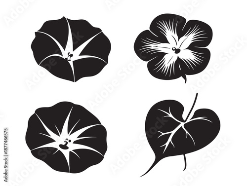 Elegant Morning Glory Flower Icon Set With Fresh Beauty  