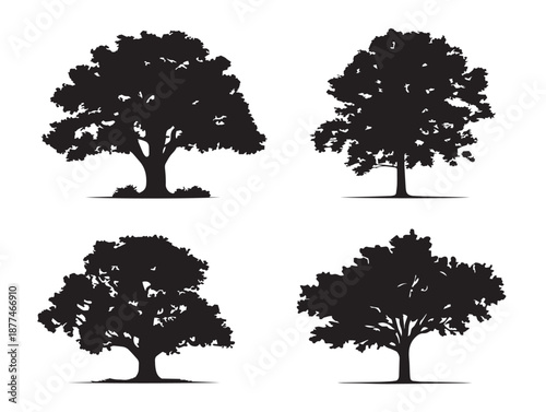 A gorgeous set of four beautiful oak tree silhouette vector icons