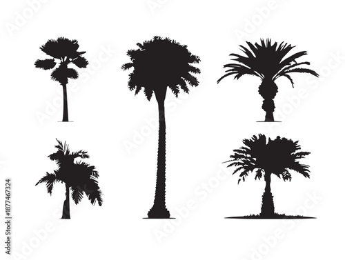 A simple set of four stunning palm grove silhouette vector icons