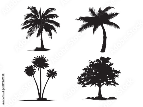 A stunning collection of four elegant black dense palm grove illustrations