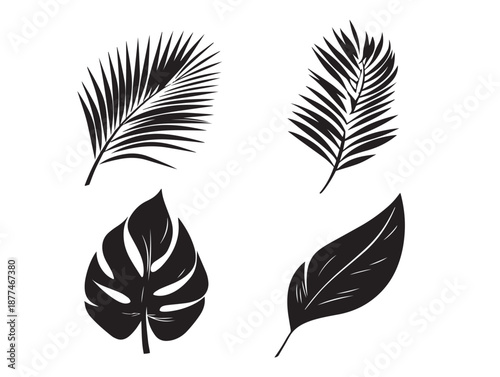 A nice set of four beautiful palm leaf silhouette vector icons