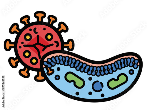 Colorful virus infecting a cell diagram. Vibrant illustration, clear depiction of infection process. Ideal for science, biology, and educational visuals.