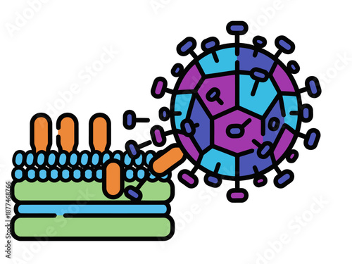 Colorful virus cell infection diagram illustrates viral attachment and entry. Clear, detailed illustration for scientific or educational use. Modern, vibrant style.