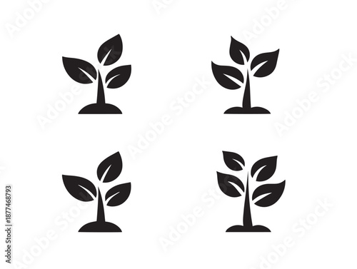 A gorgeous set of four dynamic black fresh seedling vector icons