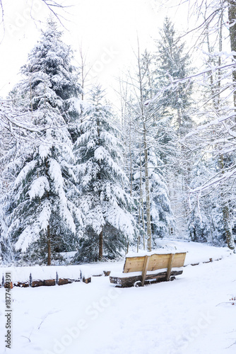 winter landscape in the mountains