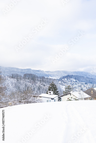 winter landscape in the mountains