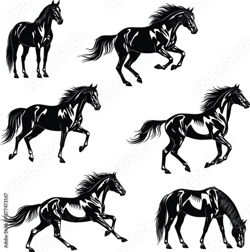 Set of black horse vector illustrations featuring stallions galloping, standing, and grazing for equestrian branding, ranch logos, and sports mascots.