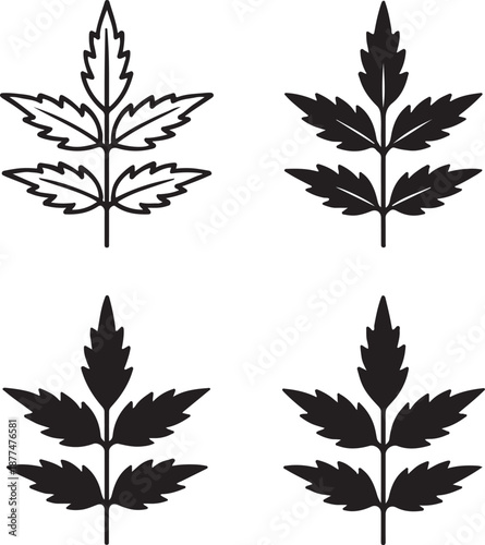 Isolated neem leaf icon, neem medicinal leaf botanical silhouette, neem herbal plant vector illustration, minimal botanical design, isolated neem leaf design