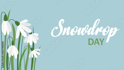 National Snowdrop Day banner. Horizontal template with the first snowdrops and text. Vector graphic