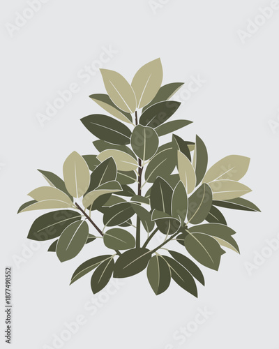 Elegant and modern vector illustration of a healthy, broad-leafed green plant, embodying natural tranquility and contemporary botanical design for serene indoor spaces