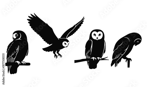 owl silhouette set featuring flying and perched birds for nature designs