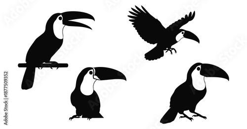 toucan silhouette art in perched, flying, and expressive tropical bird poses