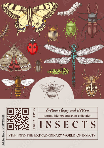 Wallpaper Mural Natural biology banner with insects Torontodigital.ca