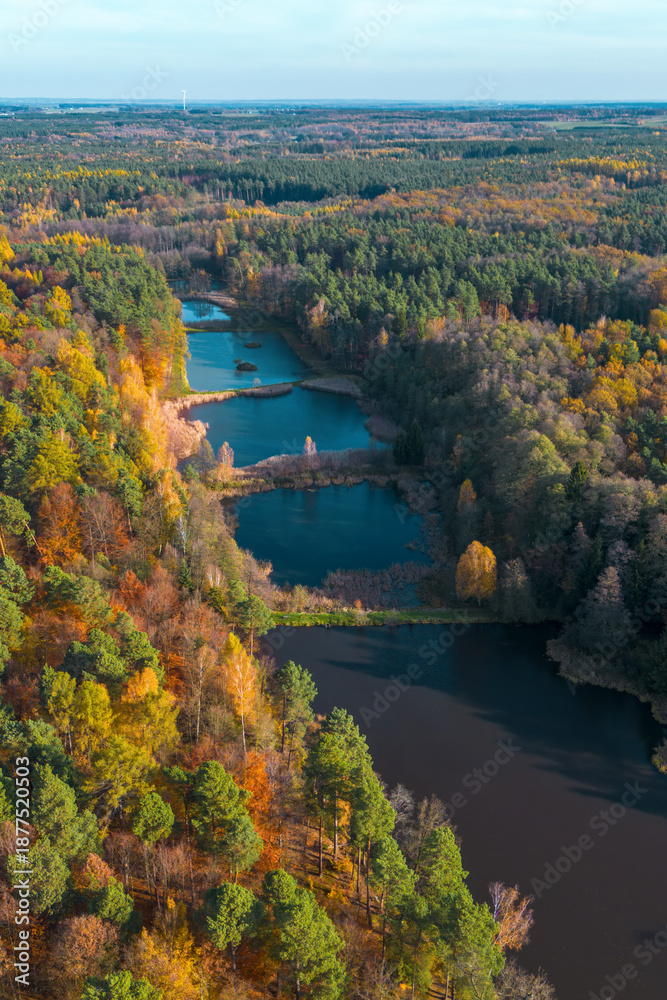 Obraz premium Nature park with embankment and walking paths in autumn