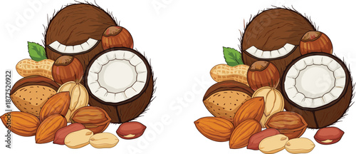 Mixed, nuts, coconut, illustration, almond, peanut, hazelnut, healthy, food, snack, organic, natural, protein, nutrition, vegan, vegetarian, vector, isolated, set, design
