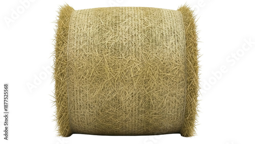 Fotografie Isolated roll of hay bale for livestock feed, agriculture haystacks, country, fa