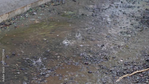 Clear water droplets captured in detail, symbolizing freshness, purity, and natural moisture.