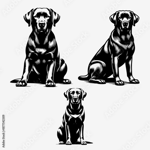 Three Sitting Dogs Family Black and White Vector Set