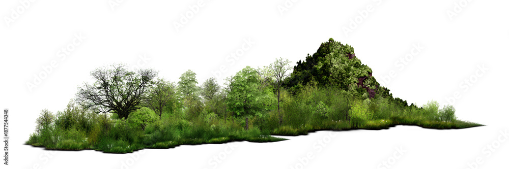 Fototapeta premium grass on white background/panoramic green forest and mountain scene with trees and grass isolated on a white background.