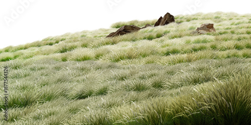 Картината върху платно wild animal in the grass/Gently sloping grassy hillside with scattered rocks in a natural, serene landscape